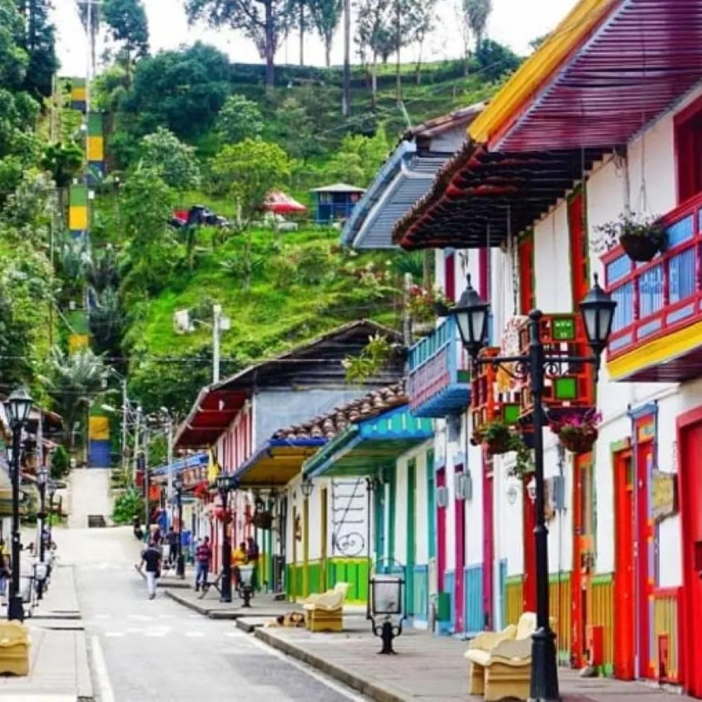 Galería Eje Cafetero