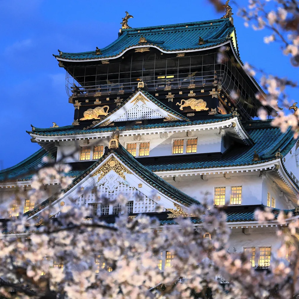 Galería Japón Majestuoso 2X1