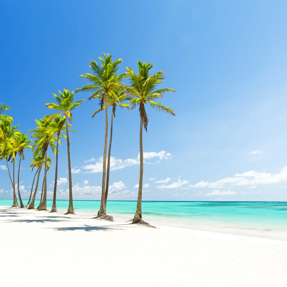 Galería Punta Cana Hotel Grand Sirenis