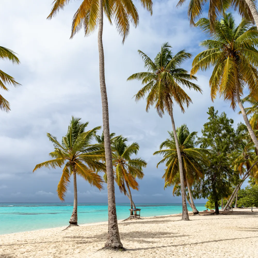 Galería Crucero por el Caribe desde Cartagena