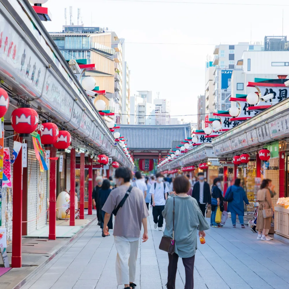 Galería Japón Majestuoso 2X1