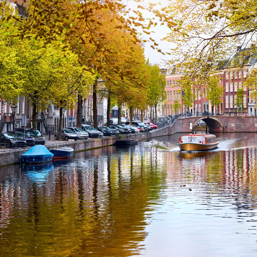 Galería Europa Ideal