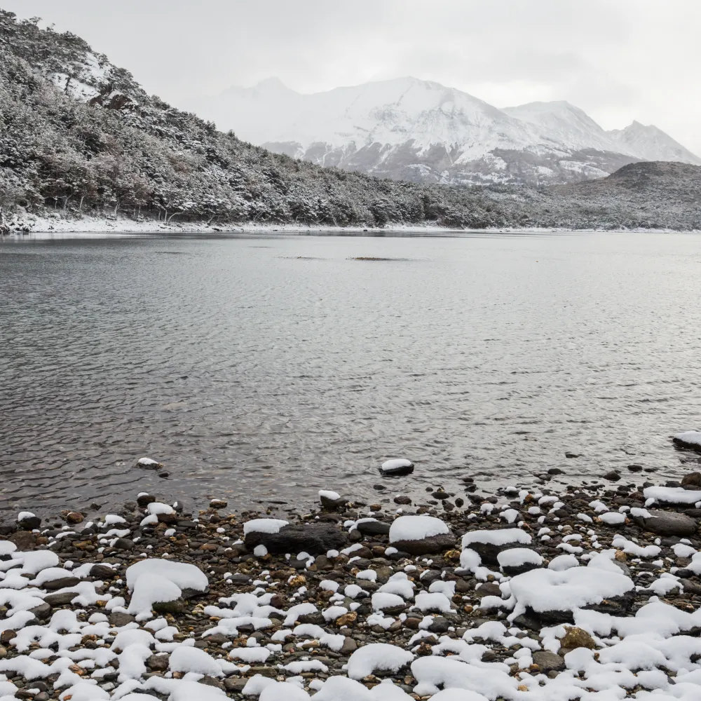 Galería Buenos Aires – Ushuaia – Calafate – Iguazú